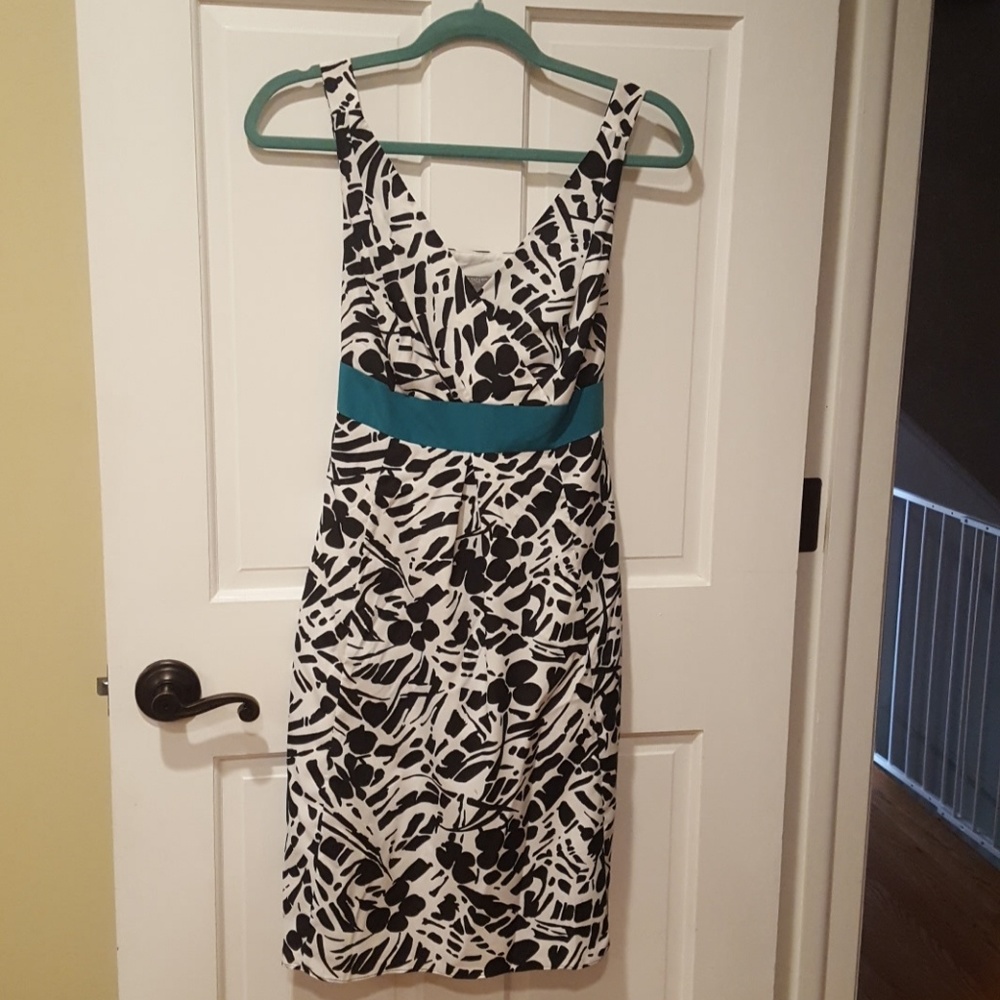 Ann Taylor Dress Never worn Sz 8P